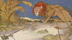 Les Fables d’Ésope : « Le lion et la souris »