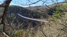 Haute-Loire : la passerelle himalayenne des gorges du Lignon devrait ouvrir pour les vacances de Pâques