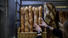 Les boulangers vont devoir augmenter le prix de la baguette, voici pourquoi