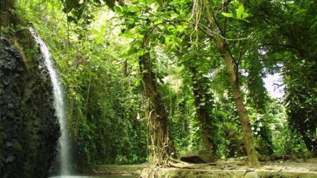 Tahiti : l’eau de la cascade Vaihi purifie les corps et les âmes