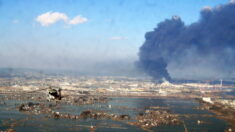 Alerte au tsunami au Japon après un violent séisme de magnitude 7,4