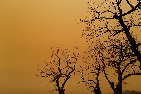 Un ciel orange due à un courant du vent sirocco, dans l'est de la France, le 6 février 2021.  (Photo : SEBASTIEN BOZON/AFP via Getty Images)