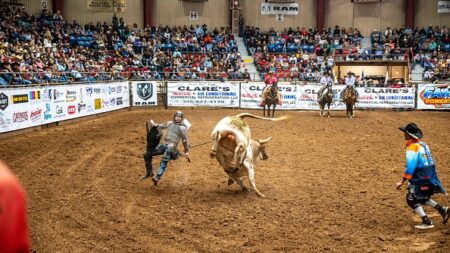 Le geste héroïque d’un père en vidéo : il saute dans l’arène en plein rodéo pour protéger son fils inconscient