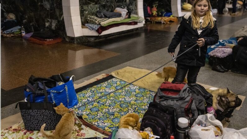 Une fille joue avec son chien et son chat dans la station de métro Dorohozhychi qui a été transformée en abri anti-bombes, le 02 mars 2022 à Kiev, Ukraine. (Photo par Chris McGrath/Getty Images)