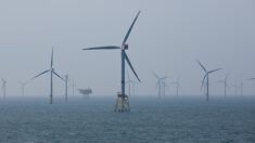 Île d’Oléron : un parc éolien offshore éloigné des côtes et d’un parc naturel marin