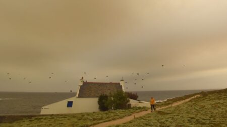 Vendée : quand le sable du Sahara colore le ciel en ocre et recouvre tout sur son passage