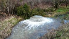 Dordogne : le puits de Bontemps en pleine effervescence après de fortes pluies