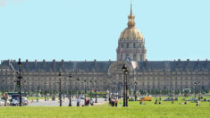 Paris : les lapins peuvent continuer à profiter de la pelouse des Invalides sans inquiétude