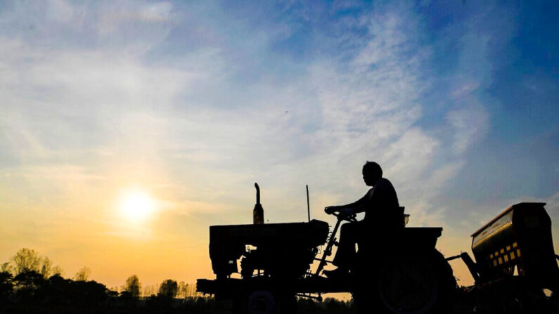 Un agriculteur semant du blé d'hiver avec un semoir à grains à Bozhou, dans la province chinoise de l'Anhui (est), le 15 octobre 2019. (STR/AFP via Getty Images)