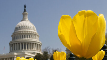 Un avion inoffensif déclenche l’évacuation du Capitole à Washington