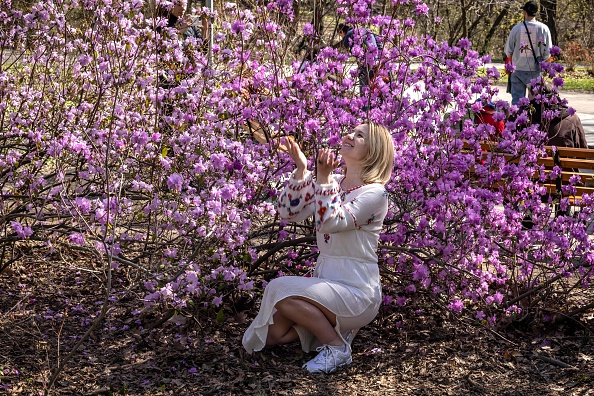 -Un résident local est assis près des fleurs dans un parc du centre de Kiev le 15 avril 2022. Photo de FADEL SENNA / AFP via Getty Images.