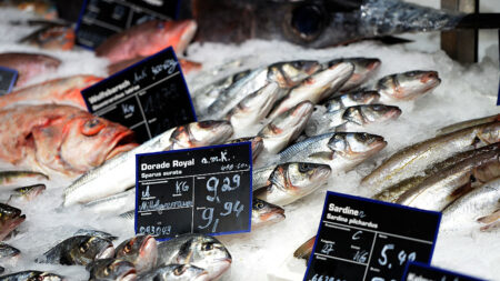 Listeria : des filets de haddock fumés rappelés dans tous les Carrefour et Leclerc de France