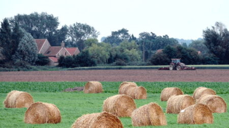 « EPOUSE MOI » : un agriculteur fait sa demande en mariage depuis une montgolfière