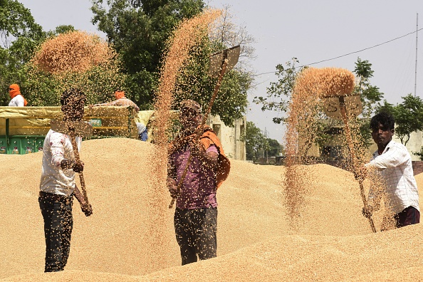 Des ouvriers utilisent une pelle pour séparer les grains de blé de l'enveloppe dans un marché de gros des céréales à la périphérie d'Amritsar, le 16 avril 2022. (Photo : NARINDER NANU/AFP via Getty Images)