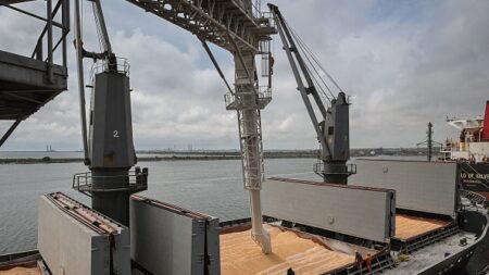 Constanta, port roumain providentiel pour les céréales ukrainiennes