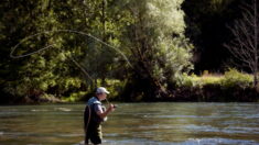 Jura : pollution au lactosérum de la rivière le Valouson sur 7 km, « on est face à une situation de crise extrêmement grave »