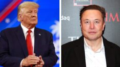 Elon Musk sera chargé du département de l’efficacité gouvernementale dans la nouvelle administration Trump