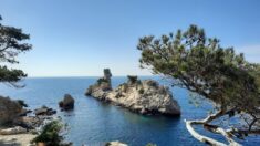 Marseille : réservation obligatoire pour se baigner dans deux criques des Calanques