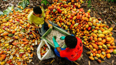 Comment le Brésil sauve le monde d’une crise alimentaire désastreuse