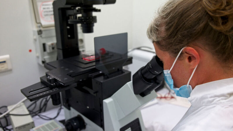 Chercheuse dans un laboratoire de l'université de Tours, le 9 septembre 2021 (GUILLAUME SOUVANT/AFP via Getty Images)