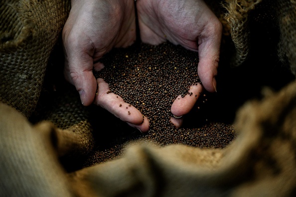 Sac de graines de moutarde à la moutarderie Fallot, à Dijon, le 14 décembre 2021.  (JEFF PACHOUD/AFP via Getty Images)