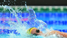 Natation :  création d’une « catégorie ouverte » pour que les athlètes transgenres puissent concourir