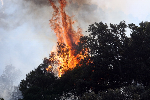    (Photo : RAYMOND ROIG/AFP/GettyImages)