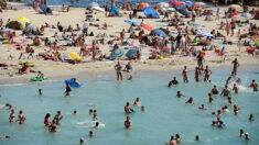 Marseille : un homme de 72 ans violemment battu à coups de pelle sur la plage