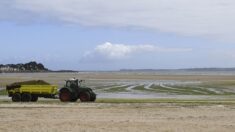 Manche : il se blesse en voulant dérober un tracteur sur la plage de Pirou