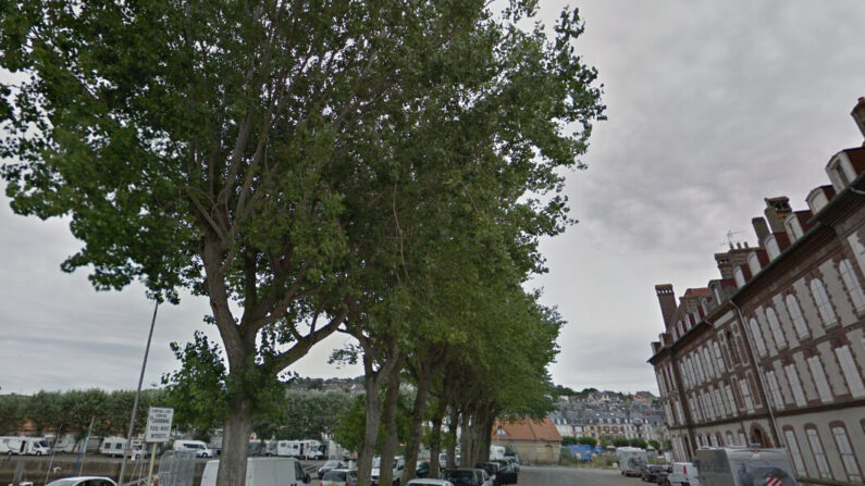 La rangée de peupliers se trouve entre l'ancien bâtiment des douanes et le port, sur la presqu'île de Deauville. (Capture d'écran/Google maps)