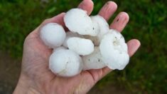 Le nord-est de la France frappé par de violents orages et des grêlons géants