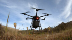 Des drones plantent des millions d’arbres dans le plus grand jardin botanique d’Australie