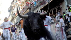 Lâcher de taureaux dans les rues de Pampelune : cinq personnes encornées et 52 blessés lors des festivités de la San Fermin