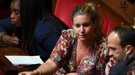 Rafle du Vel d’Hiv : réactions indignées de la majorité après un tweet de Mathilde Panot