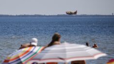 Gironde: les eaux de l’étang de Cazaux noircies par les fumées, les habitants s’inquiètent