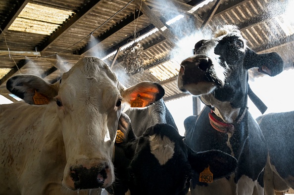  (Photo JEAN-FRANCOIS MONIER/AFP via Getty Images)