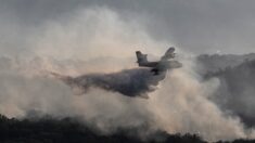 Incendie en Ardèche : le feu quasiment fixé, 350 sapeurs-pompiers toujours mobilisés