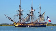 Mauvaise passe pour l’Hermione rongée par un champignon