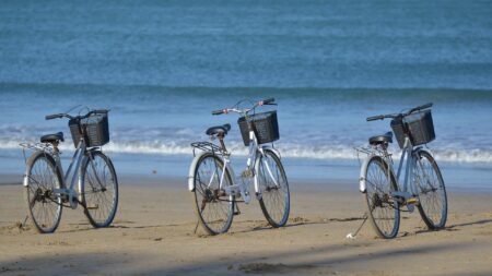 Des préfets interdisent le passage des cyclistes nus, considérant qu’il s’agit d’«exhibition sexuelle»