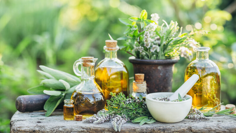 Il fut un temps où les gens connaissaient les plantes aromatiques et leurs propriétés thérapeutiques. Il est peut-être temps de réapprendre ces connaissances utiles. (Valentina_G/Shutterstock)