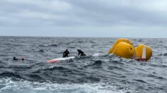 Route du rhum : sauvetage miraculeux du skipper resté seize heures sous la coque de son bateau