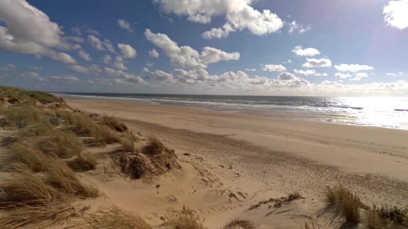 Plage de La Bouverie, à La Tremblade en Charente-Maritime - Google maps