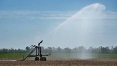 La gestion de l’eau, chantier prioritaire pour l’agriculture