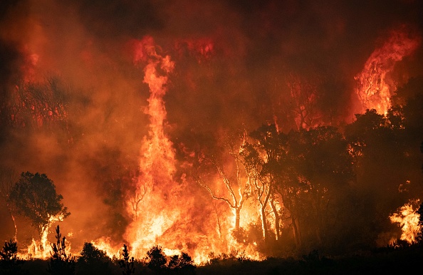 (Photo : FADEL SENNA/AFP via Getty Images)