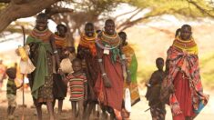 Somalie: un million de personnes déplacées par la sécheresse