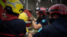 Incendies: le patron de Carrefour demande à «chaque directeur de magasin» de libérer les salariés pompiers volontaires