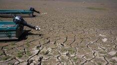 Sécheresse : plus de 100 communes sans eau potable en France