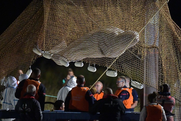 -Les sauveteurs remontent un filet et sauvent un béluga échoué dans la Seine à Notre Dame de-la-Garenne, dans le nord de la France, le 9 août 2022. Photo de JEAN-FRANCOIS MONIER/AFP via Getty Images.