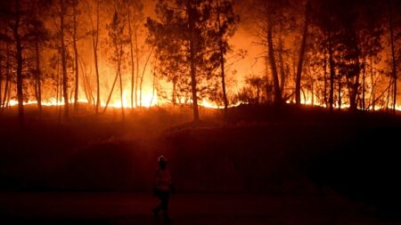 À Mayotte, les feux de forêt se multiplient en saison sèche