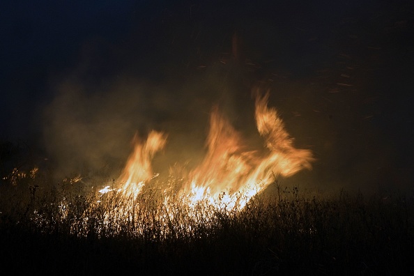 Elle a expliqué avoir agi notamment "par ennui, aimant regarder le départ de feu avant de quitter les lieux".
(Photo  Juan MABROMATA / AFP) (Photo by JUAN MABROMATA/AFP via Getty Images)